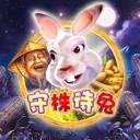 Www.yaxin323.com